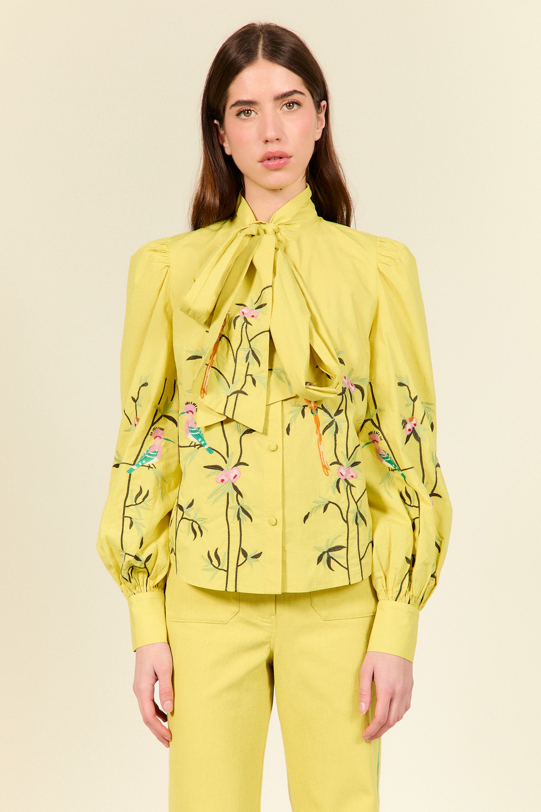 CAMISA OLIVIA - BY TATIANA DE NICOLAY