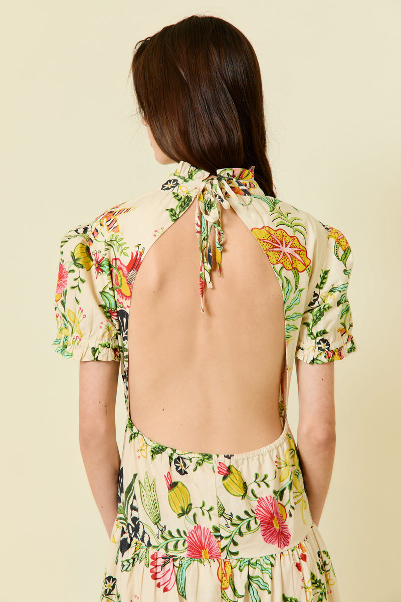 DALIA OPEN BACK DRESS