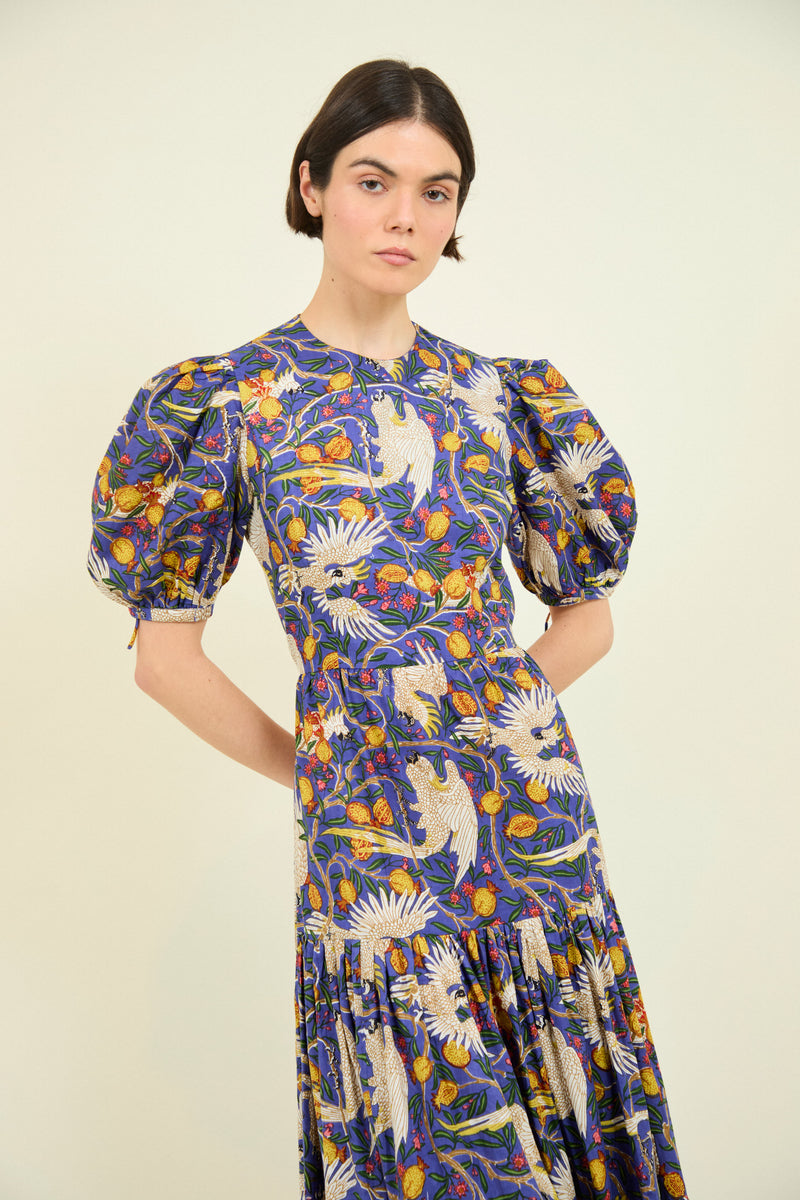 VESTIDO GABRIELLA AZUL LOROS