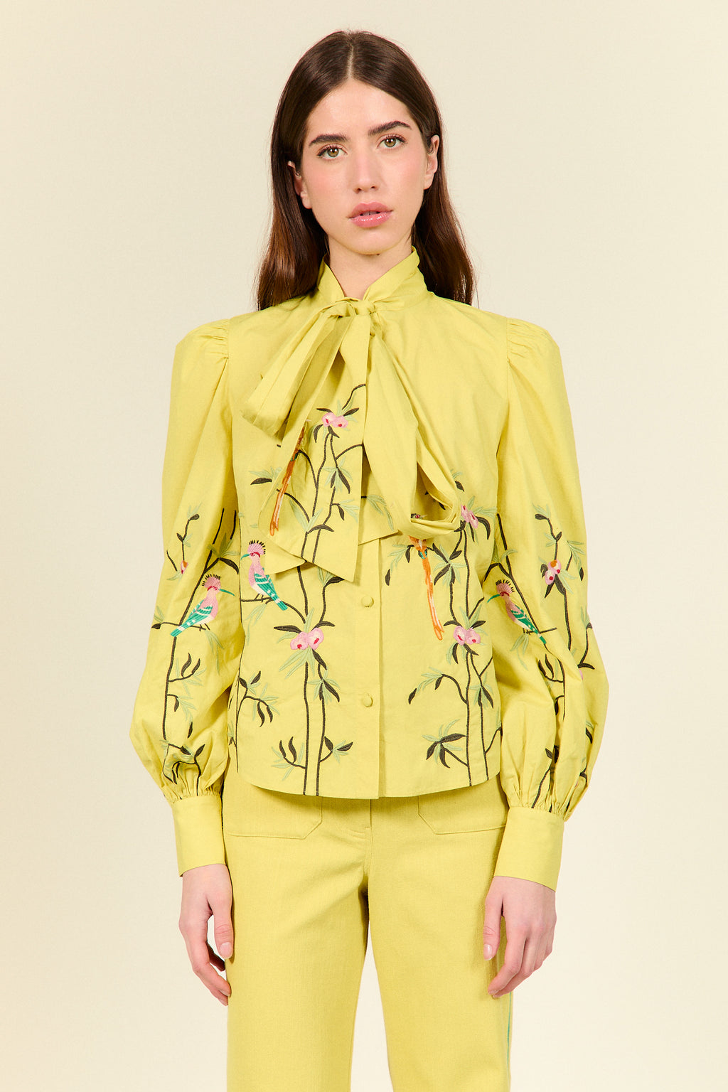 CAMISA OLIVIA - BY TATIANA DE NICOLAY